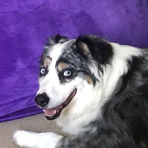 Meet your Posher, Chloe